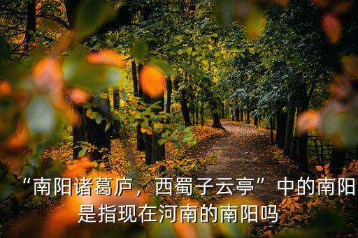“南陽諸葛廬，西蜀子云亭”中的南陽是指現在河南的南陽嗎