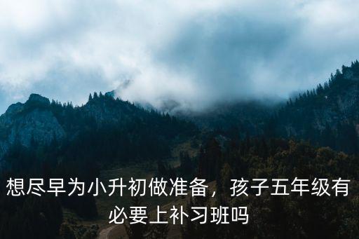 想盡早為小升初做準(zhǔn)備，孩子五年級有必要上補(bǔ)習(xí)班嗎