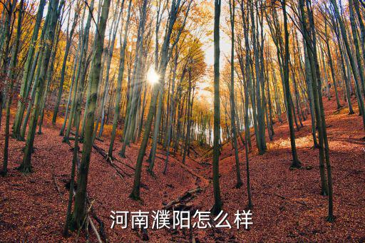 河南濮陽怎么樣