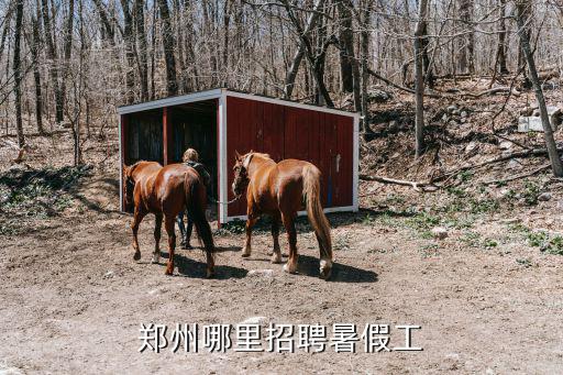鄭州哪里招聘暑假工