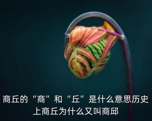商丘有算命的嗎在哪里,河南商丘在歷史上有名嗎
