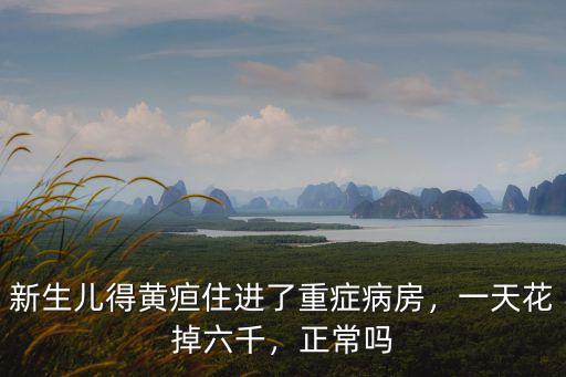 安陽新生兒icu病房一天多少錢,嬰兒放在保溫箱一天多少錢