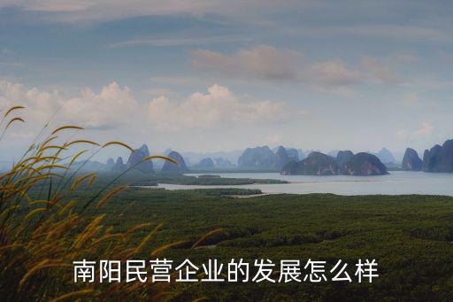 南陽(yáng)民營(yíng)企業(yè)的發(fā)展怎么樣