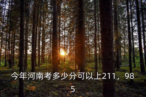 今年河南考多少分可以上211，985
