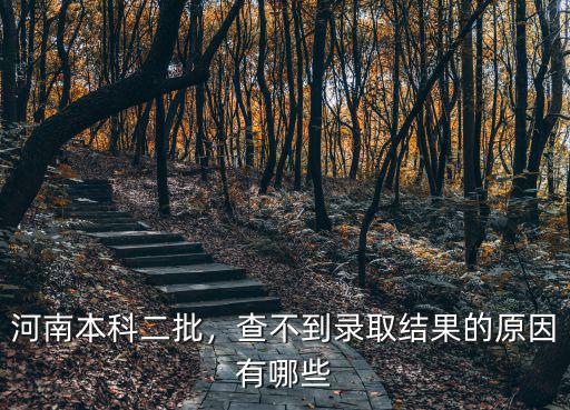 河南本科二批，查不到錄取結果的原因有哪些