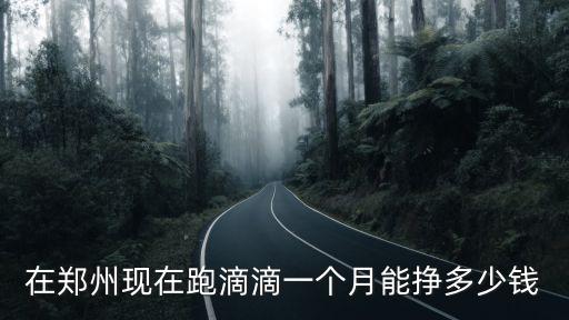 在鄭州現在跑滴滴一個月能掙多少錢