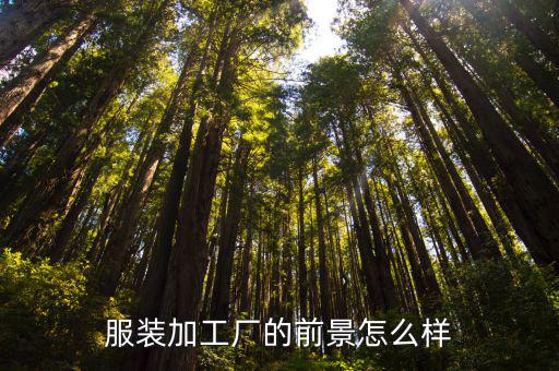 河南小作坊服裝代加工廠怎么樣,服裝加工廠的前景怎么樣