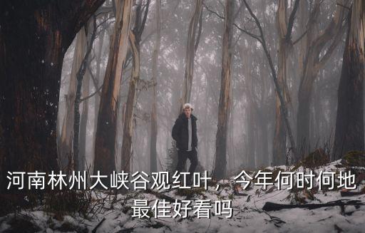 河南紅色大峽谷在哪里,河南林州大峽谷觀紅葉