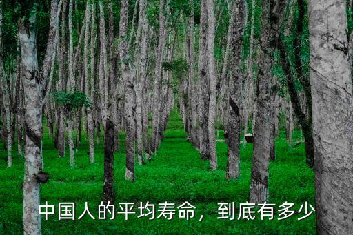 中國人的平均壽命，到底有多少