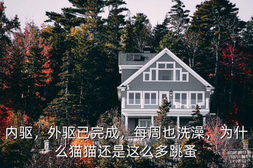 內驅，外驅已完成，每周也洗澡，為什么貓貓還是這么多跳蚤