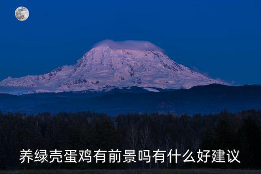 洛陽哪里有賣綠殼蛋雞,養綠殼蛋雞有前景嗎