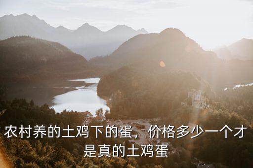 安陽哪里賣的土雞蛋好吃,哪里有真的土雞蛋賣啊