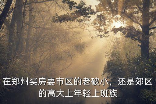 鄭州老破小怎么發展,鄭州三環老破小的房子