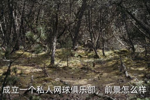 成立一個私人網(wǎng)球俱樂部，前景怎么樣