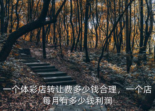 一個體彩店轉讓費多少錢合理，一個店每月有多少錢利潤