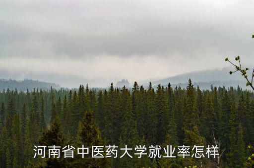 河南省中醫藥大學就業率怎樣