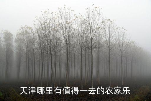天津哪里有值得一去的農家樂