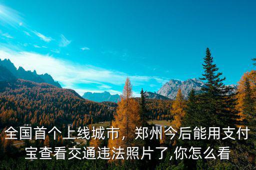 全國首個上線城市，鄭州今后能用支付寶查看交通違法照片了,你怎么看