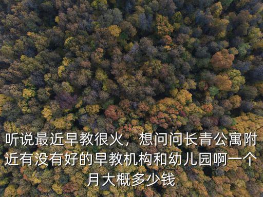 聽說最近早教很火，想問問長青公寓附近有沒有好的早教機構和幼兒園啊一個月大概多少錢