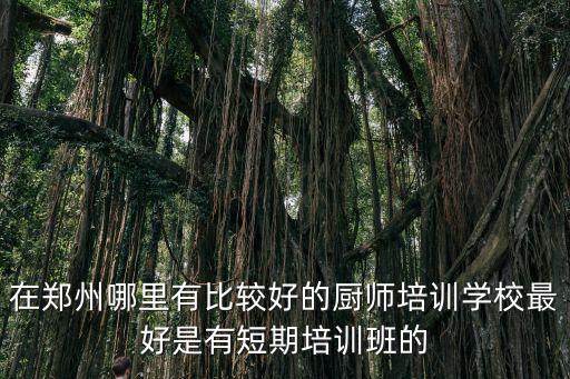 在鄭州哪里有比較好的廚師培訓(xùn)學(xué)校最好是有短期培訓(xùn)班的