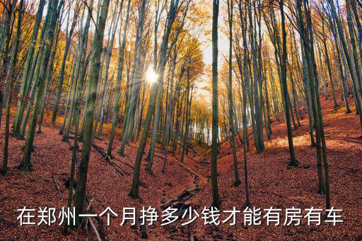 在鄭州一個月掙多少錢才能有房有車