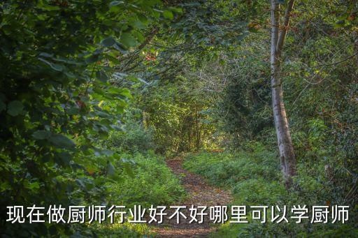 現在做廚師行業好不好哪里可以學廚師