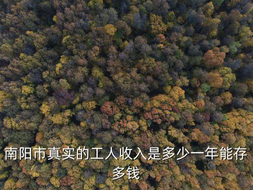 南陽市真實的工人收入是多少一年能存多錢