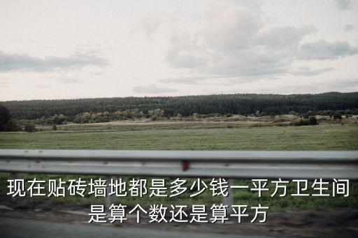 鄭州貼磚造型多少錢一個平方,貼磚多少錢一平方