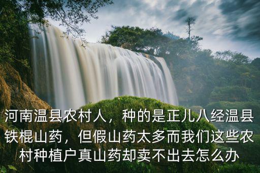 河南溫縣農村人，種的是正兒八經溫縣鐵棍山藥，但假山藥太多而我們這些農村種植戶真山藥卻賣不出去怎么辦