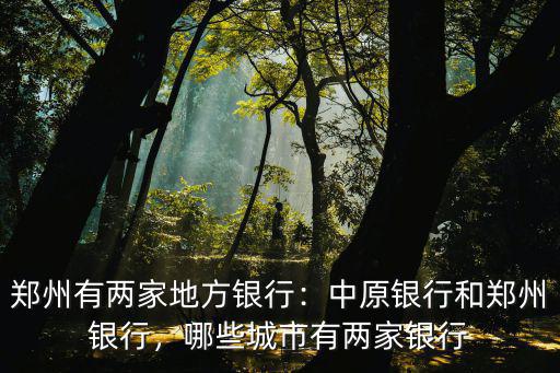 鄭州的銀行有多少家,鄭州有兩家地方銀行