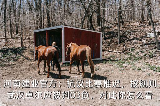 河南建業官方：抗議比賽推遲，按規則武漢卓爾應被判03負，對此你怎么看