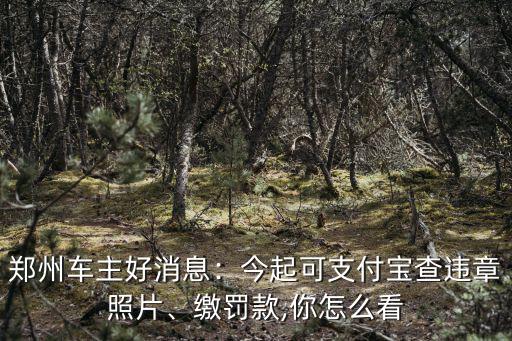 鄭州車主好消息：今起可支付寶查違章照片、繳罰款,你怎么看