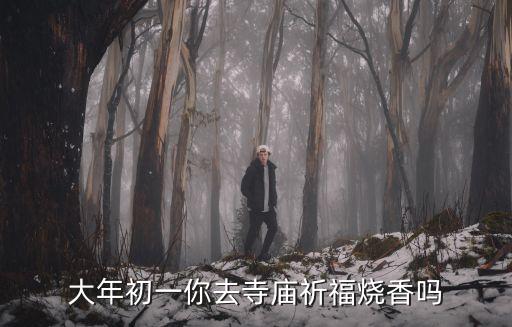 大年初一你去寺廟祈福燒香嗎