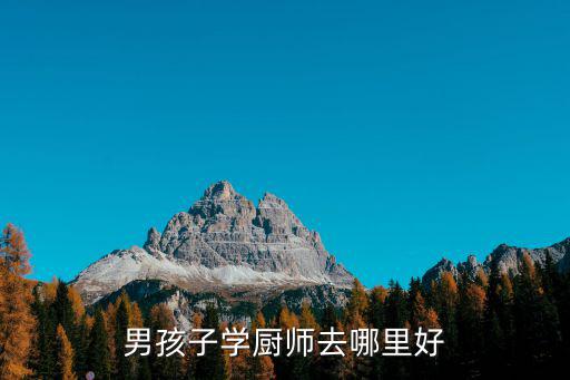 男孩子學(xué)廚師去哪里好