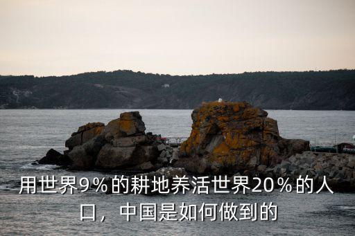 用世界9％的耕地養活世界20％的人口，中國是如何做到的