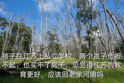 孩子在江蘇上私立學校，兩個孩子負擔不起，也買不了房子，總覺得江蘇的教育更好，應該回老家河南嗎