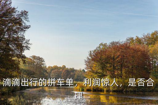 滴滴出行的拼車單，利潤驚人，是否合理