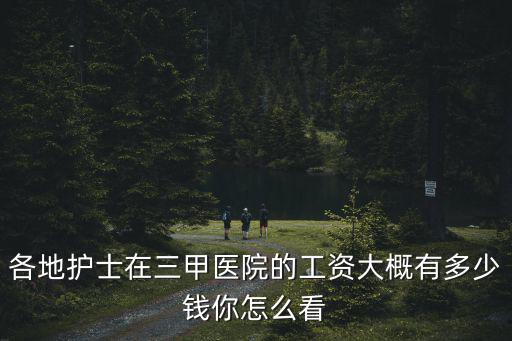 各地護士在三甲醫院的工資大概有多少錢你怎么看