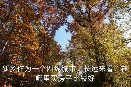 新鄉作為一個四線城市，長遠來看，在哪里買房子比較好