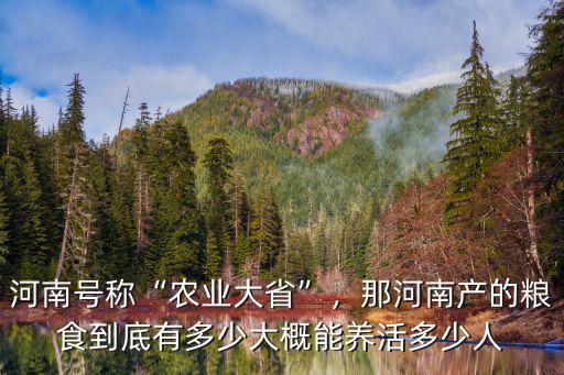 2015河南玉米的總產量多少,那河南產的糧食到底有多少