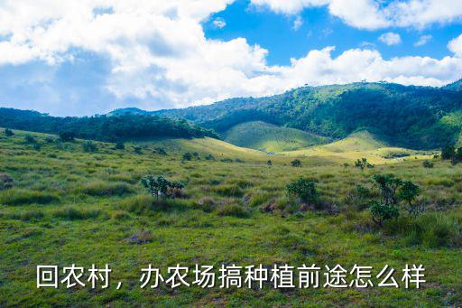 回南陽農村種地怎么樣,回河南農村種菜怎么樣