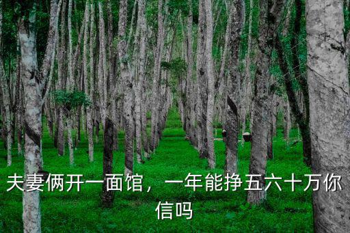 夫妻倆開一面館，一年能掙五六十萬你信嗎