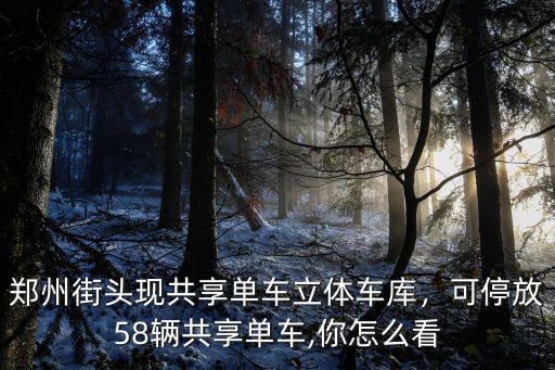鄭州共享單車停放點怎么設(shè)置,可停放58輛共享單車