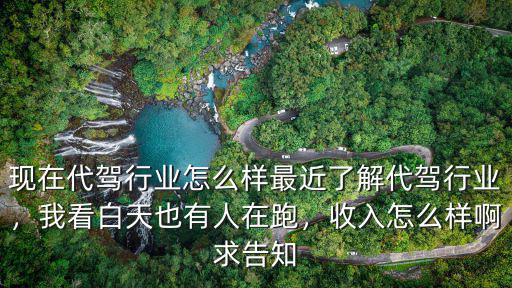 現在代駕行業怎么樣最近了解代駕行業，我看白天也有人在跑，收入怎么樣啊求告知