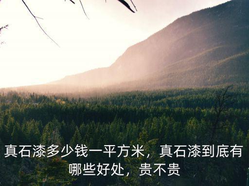 新鄉(xiāng)真石漆價格多少,真石漆多少錢一平方米