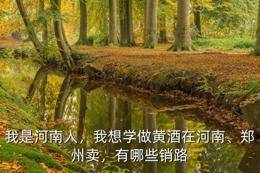 鄭州哪里賣南陽黃酒,南陽黃酒為何走不出南陽