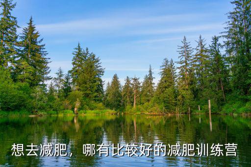 開封減肥減脂哪里好,減肥哪里見效快