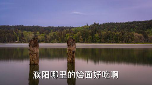 濮陽(yáng)哪里的燴面好吃啊