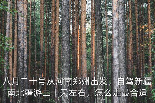 八月二十號從河南鄭州出發，自駕新疆南北疆游二十天左右，怎么走最合適
