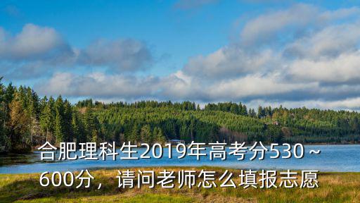 合肥理科生2019年高考分530～600分，請問老師怎么填報志愿